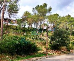 Sola urbano en Olivella.