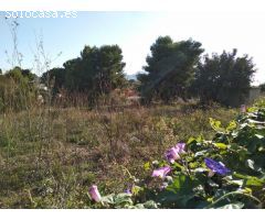 3 parcelas edificables de 800 M2 en venta en una zona tranquila a 2.5 km de Calpe
