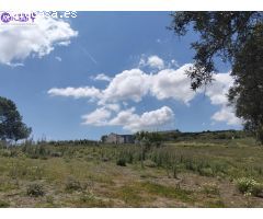 Oportunidad: Más de 7 hectáres en venta en Medina Sidonia, Pago de la Guantera