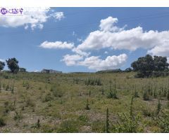 Oportunidad: Más de 7 hectáres en venta en Medina Sidonia, Pago de la Guantera