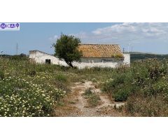 En venta: 3 hectareas con casa y nave en el Pago de la Guantera (Medina Sidonia)