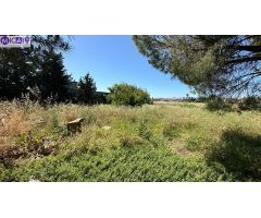 Parcela en zona de Pelagatos (Chiclana)