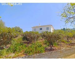 Finca Rústica con muchos metros de casa!