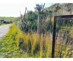 Tu refugio rural en Casares: un paraíso de tranquilidad y naturaleza
