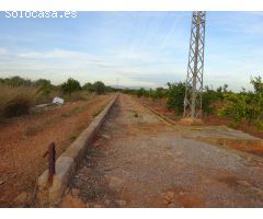 SE VENDE HUERTO EN VILA-REAL