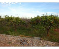 SE VENDE HUERTO EN VILA-REAL