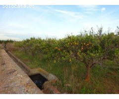 SE VENDE HUERTO EN VILA-REAL