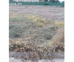 PARCELA URBANA EN PARTIDA MADRIGAL