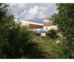 PARCELA DE HUERTO EN ZONA URBANA INDUSTRIAL DE 7.800 M2, AL LADO DE LA CIUDAD DEPORTIVA