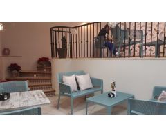 LOCAL CAFETERIA EN VENTA Ó ALQUILER CON OPCIÓN A COMPRA