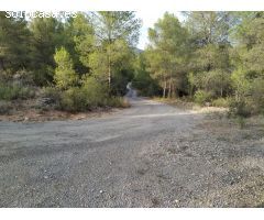 PARCELA RUSTICA EN ALCORA CON POSIBILIDAD DE URBANIZAR UNA PARTE