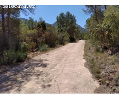 FINCA RUSTICA EN VILLAFAMES  CON CASETA DE APEROS
