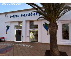 Piso en venta cerca del mar en Corralejo, Fuerteventura. ¡Descubre tu oasis isleño hoy mismo!