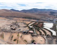 Una joya agrícola en Pájara, Fuerteventura