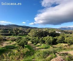 MAGNÍFICA FINCA RÚSTICA CON VIVIENDA !!!