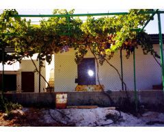 MAGNÍFICA FINCA RÚSTICA CON VIVIENDA !!!