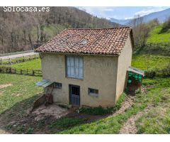 CUADRA CON FINCA DE 3000 M2 EN CASOMERA ALLER