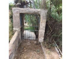 SE VENDE PARCELA EDIFICABLE EN LA ÑORA, CERCA DE LA UCAM.