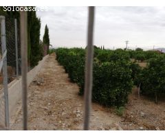 SE VENDE PARCELA URBANA EN RINCON DEL GALLEGO.