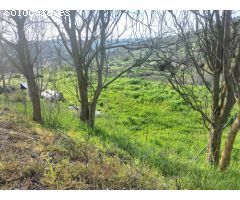 Parcela en Venta en Pastrana, Guadalajara