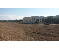 TERRENO RUSTICO EN ORIHUELA  TOTALMENTE VALLADO CON NAVE