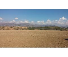 TERRENO RUSTICO EN ORIHUELA  TOTALMENTE VALLADO CON NAVE