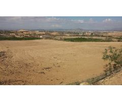 TERRENO RUSTICO EN ORIHUELA  TOTALMENTE VALLADO CON NAVE