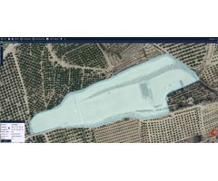 TERRENO RUSTICO EN ORIHUELA  TOTALMENTE VALLADO CON NAVE