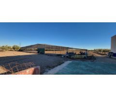 Casita Agricola en Venta en Los Montesinos, Alicante