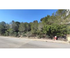 SE VENDE PARCELA EN CAMPO AMOR ( ORIHUELA COSTA )