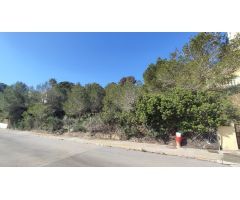SE VENDE PARCELA EN CAMPO AMOR ( ORIHUELA COSTA )