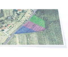 Terreno - Parcela 1000-1500m2 en Abanilla para hacer un chalet de hasta 300m2