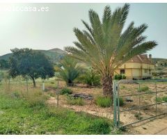 Villa en Venta en San Vicente del Raspeig, Alicante