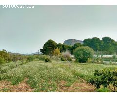 Villa en Venta en San Vicente del Raspeig, Alicante