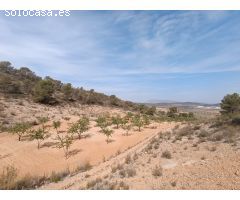 Parcela en Venta en Abanillas, Murcia