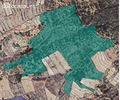 Parcela en Venta en Monovar - Monover, Alicante
