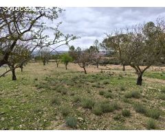 Parcela en Venta en Monovar - Monover, Alicante
