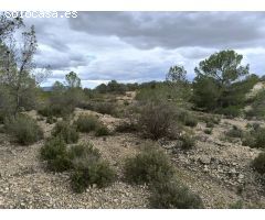 Parcela en Venta en Monovar - Monover, Alicante
