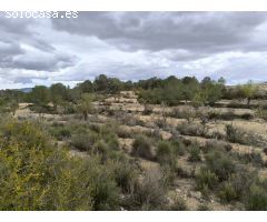 Parcela en Venta en Monovar - Monover, Alicante