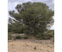 Parcela en Venta en Monovar - Monover, Alicante