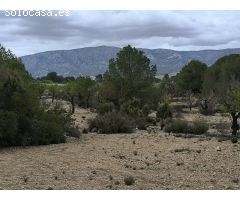 Parcela en Venta en Monovar - Monover, Alicante
