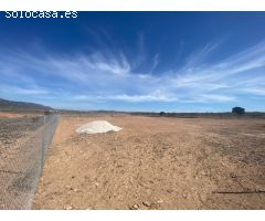 Parcela en Venta en Pinoso, Alicante