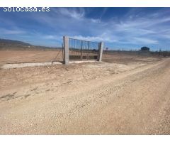 Parcela en Venta en Pinoso, Alicante