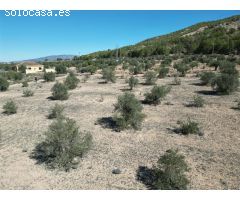 Parcela en Venta en Pinoso, Alicante