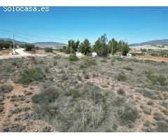 Parcela en Venta en Pinoso, Alicante
