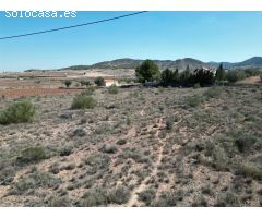 Parcela en Venta en Pinoso, Alicante