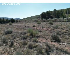 Parcela en Venta en Pinoso, Alicante