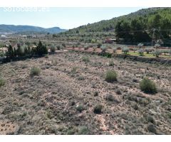 Parcela en Venta en Pinoso, Alicante