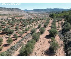 Parcela en Venta en Pinoso, Alicante