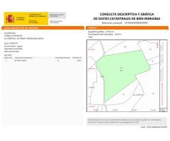 Parcela en Venta en Pinoso, Alicante